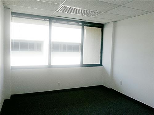 12000-12100 Ford Rd - 133xA409-sm