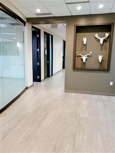 3101-3111 N Central Avenue - 1465xA201.WS-sm