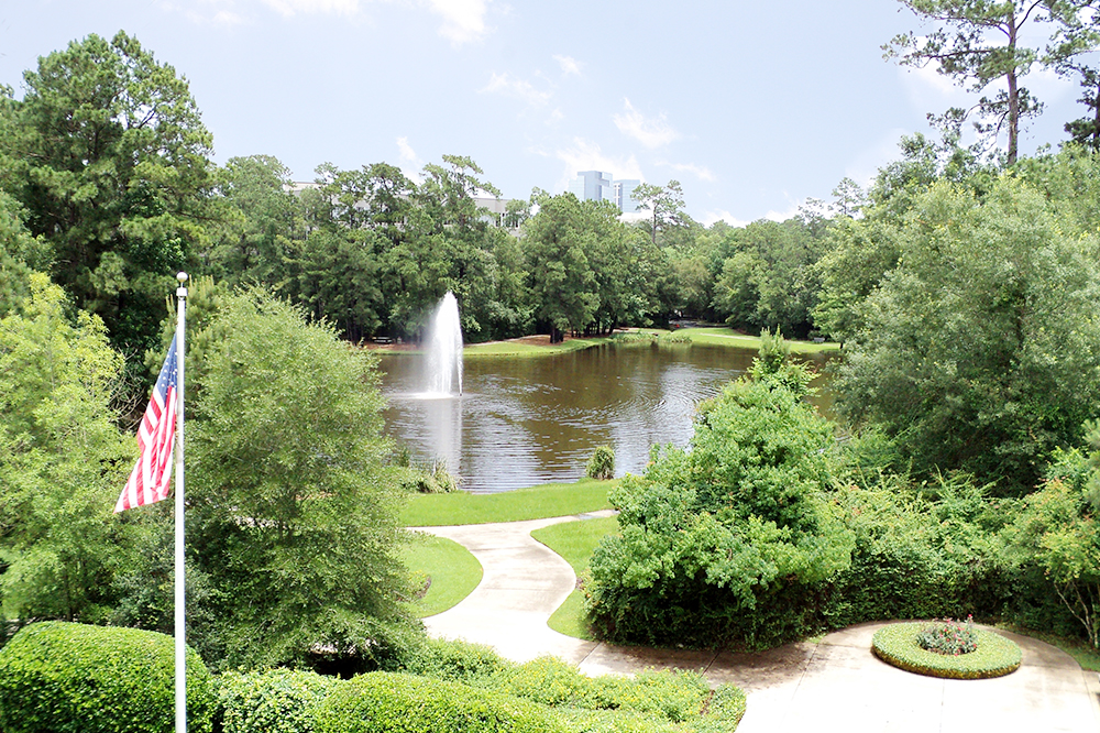 12-PI1523x77380.jpg?t=1776891453