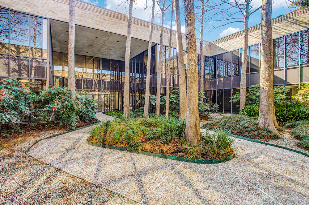 12-PI17x77036.jpg?t=1776911926