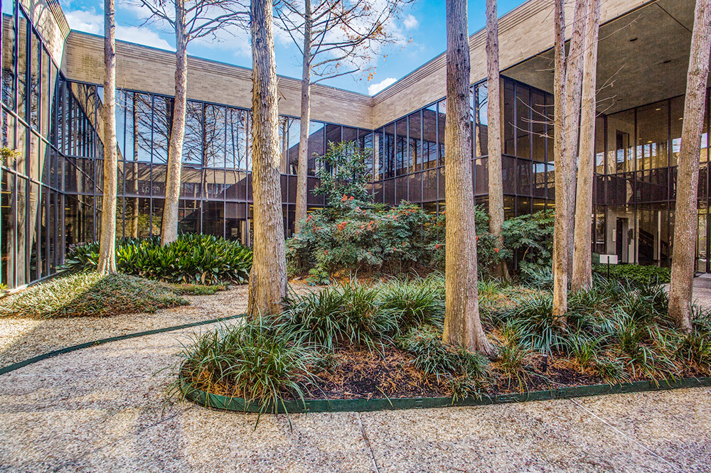 13-PI17x77036.jpg?t=1775677638