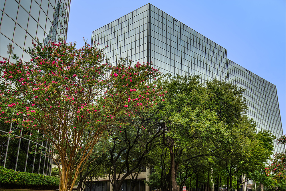 13-PI180x75243.jpg?t=1234