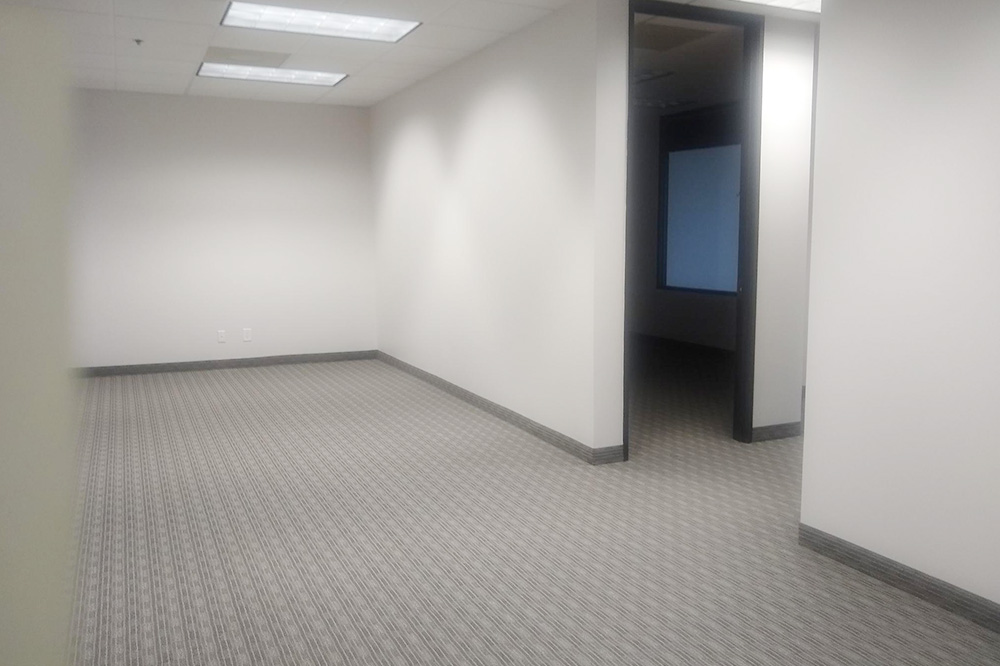 101 East Park Boulevard - 271x715-sm