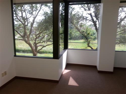 10333 Harwin Drive - 4x235O-sm