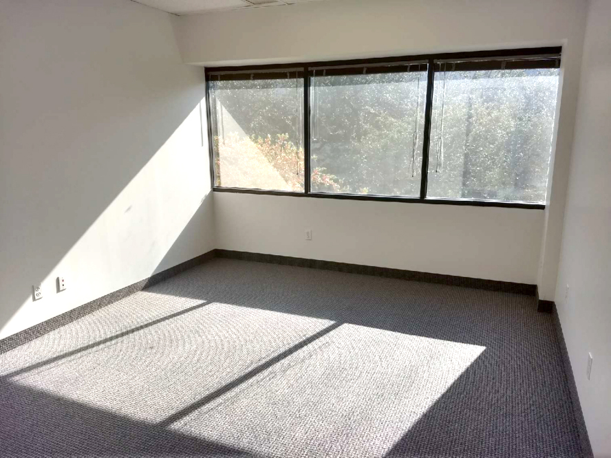 5005 W Royal Ln - 94x291-sm