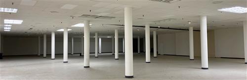 4200 South Fwy (Mall) - 98x1943.01-sm