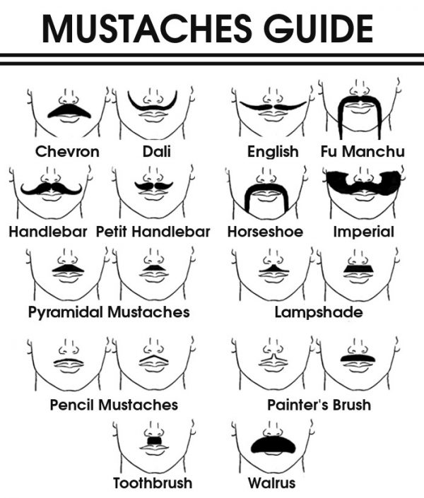 Mustache Guide