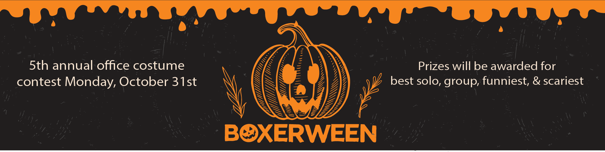 image of boxerween blog header