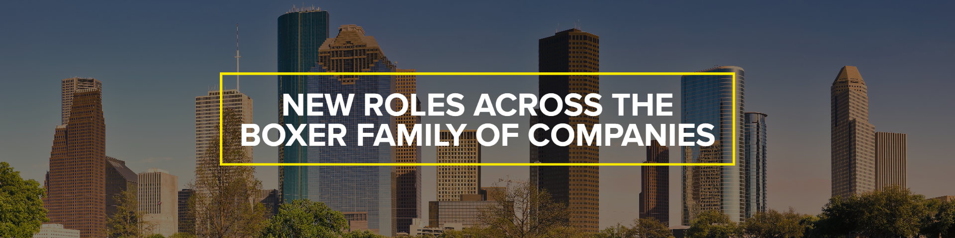 Boxer Property Confirms New Roles Across the Boxer family of Companies Boxer Property Boxer Property New Roles Across the Boxer family of Companies Boxer Property Boxer Property