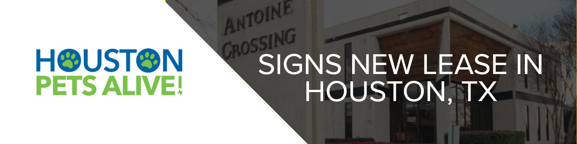 houston pets alive pr banner 1  houston pets alive pr banner  november 10 2025