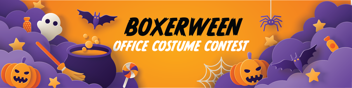 7 th boxerween blog header  7 th boxerween blog header  november 6 2025